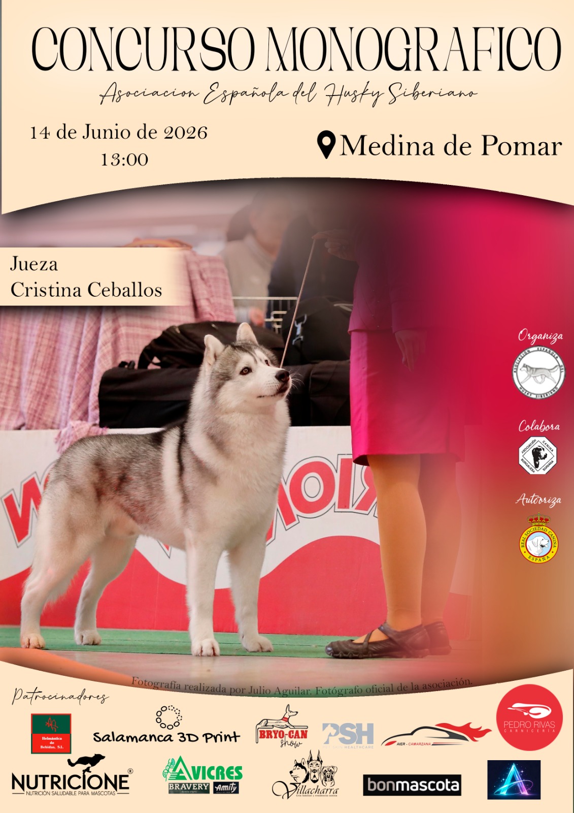 CONCURSO MONOGRÃFICO DE LA ASOCIACION ESPAÑOLA DEL HUSKY SIBERIANO