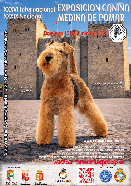 EXPOSICION INTERNACIONAL MEDINA DE POMAR